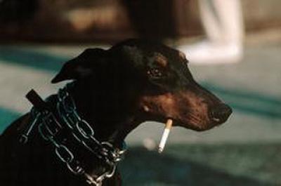 A400-Thomas hoepker 托马斯·赫普克尔其他的摄影作品