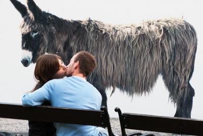 A400-Thomas hoepker 托马斯·赫普克尔其他的摄影作品