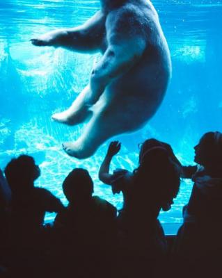 A400-Thomas hoepker 托马斯·赫普克尔其他的摄影作品