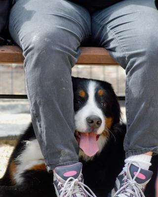 A400-Thomas hoepker 托马斯·赫普克尔其他的摄影作品