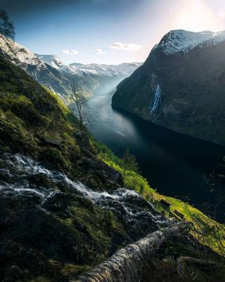 其他.A404-Max Rive的摄影作品