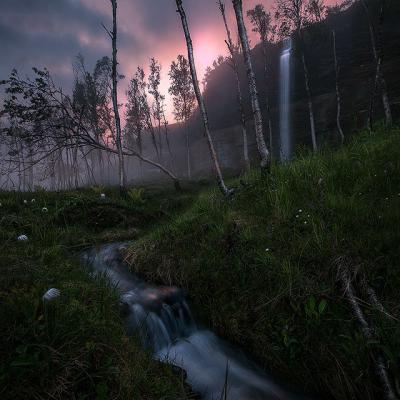 其他.A404-Max Rive的摄影作品