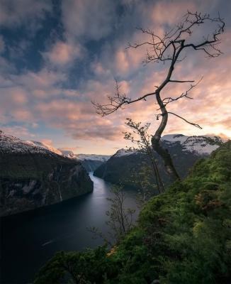 其他.A404-Max Rive的摄影作品