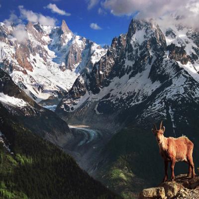 其他.A404-Max Rive的摄影作品