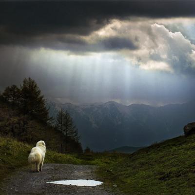 其他.A404-Max Rive的摄影作品