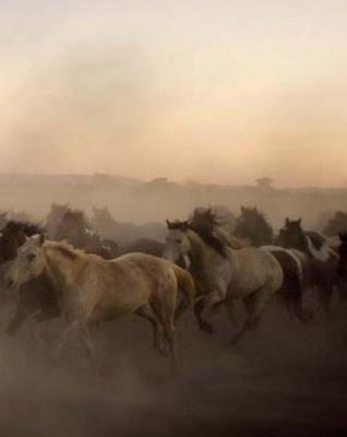 其他加拿大摄影师Douglas Kirkland的摄影作品